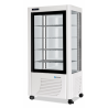 VITRINE RÉFRIGÉRÉE BASSE TEMPÉRATURE 540 BT - LIGNE LED 540 LITRES