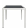TABLE avec structure en aluminium