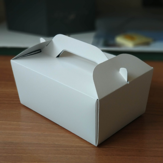 MEDIUM TAKE AWAY BOX 21x14x10h cm