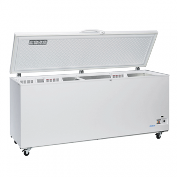 CONGELATORE A POZZETTO CON PORTA A BATTENTE 700 L | 205,5 x 73 x H.90,5 cm