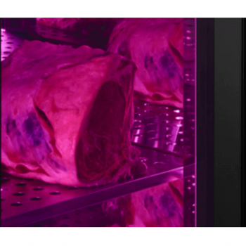 Frigo vetrina per conservazione carne 160 L | 39 x 47,5 x H 188 cm