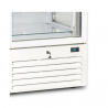 Freezer display case for ice cream and pastry shops 325 L, digital display | 68 x 70.6 x 200 H cm