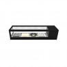 Refrigerated sushi display case with straight glass LS line