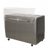 8 tub ice cream counter with VENETO reserve