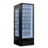 Vetrina freezer per pasticceria e gelateria -23°/-18° C 396 L con display digitale | 60 x 70 x 202 cm