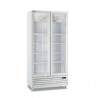 FRIGO VETRINA PER BIBITE 505 L, DISPLAY DIGITALE - 94 x 61,5 x 202,3 H cm